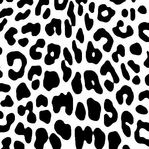 Taches Leopard Noir